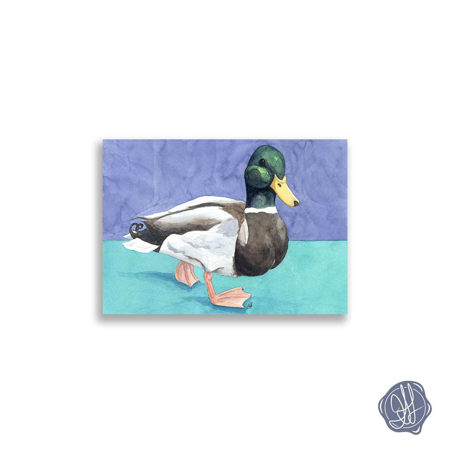 Modern watercolor mallard duck painting against a split blue and teal background — giclée fine art print. By Heidi Leduc