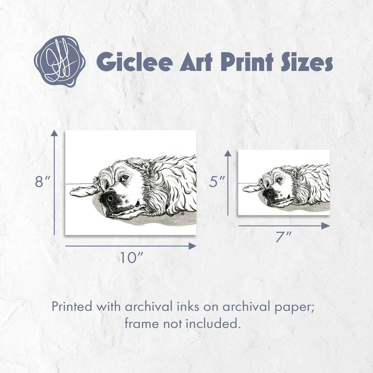 Print sizes for a giclee fine art print of a pen and ink illustration of a great pyrenees dog giving side eye, with a white background. 