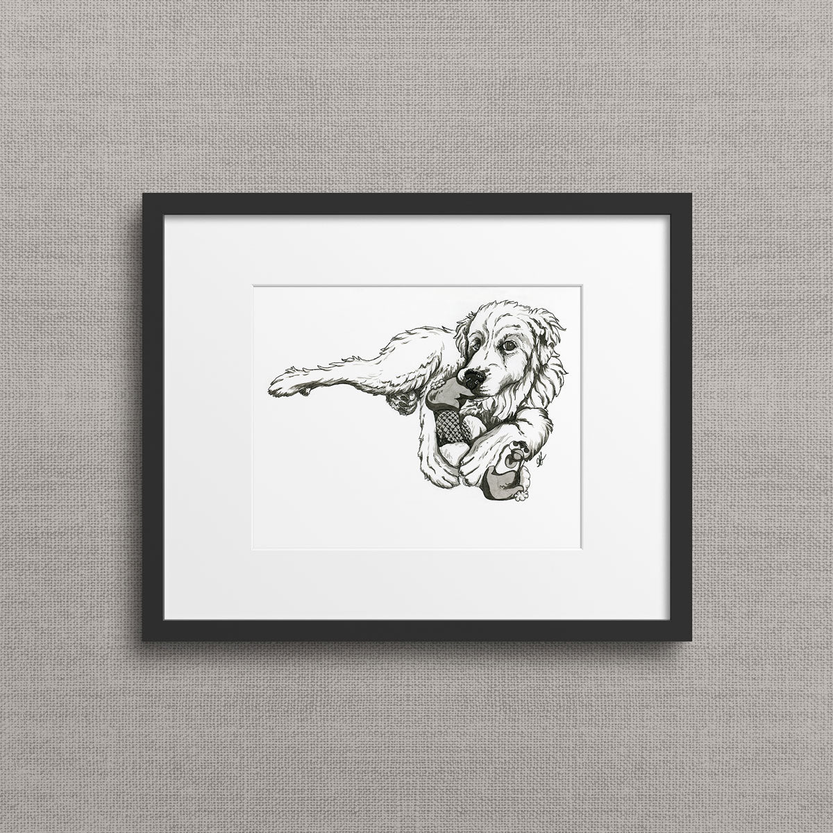 A framed giclee fine art print of pen and ink illustration of a great pyrenees dog chewing on a chicken stuffie toy. By Heidi Leduc