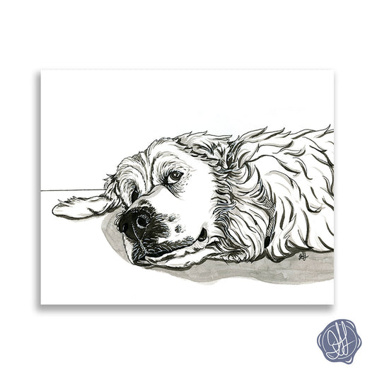 A giclee fine art print of a pen and ink illustration of a great pyrenees dog giving side eye, with a white background. 