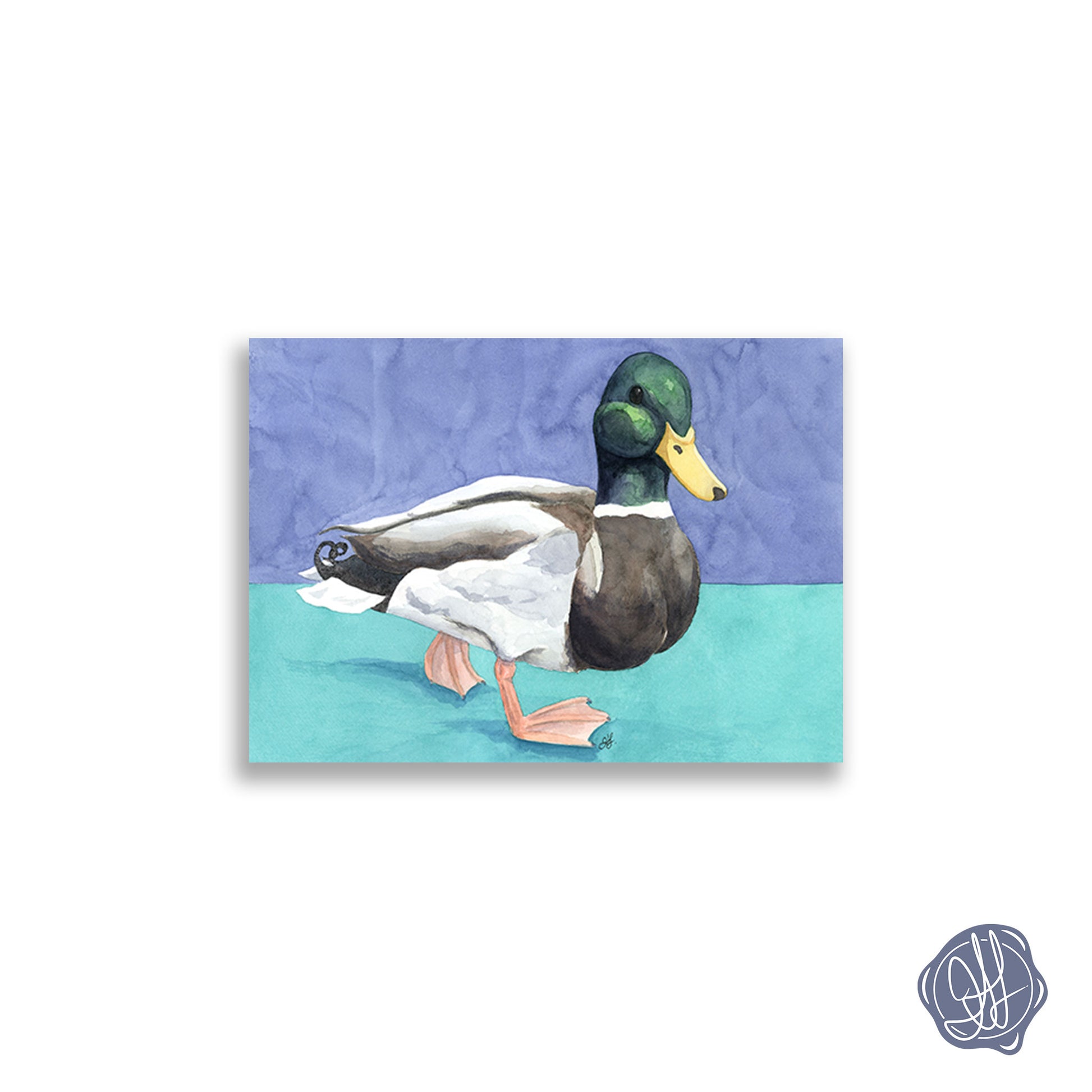 Modern watercolor mallard duck painting against a split blue and teal background — giclée fine art print. By Heidi Leduc