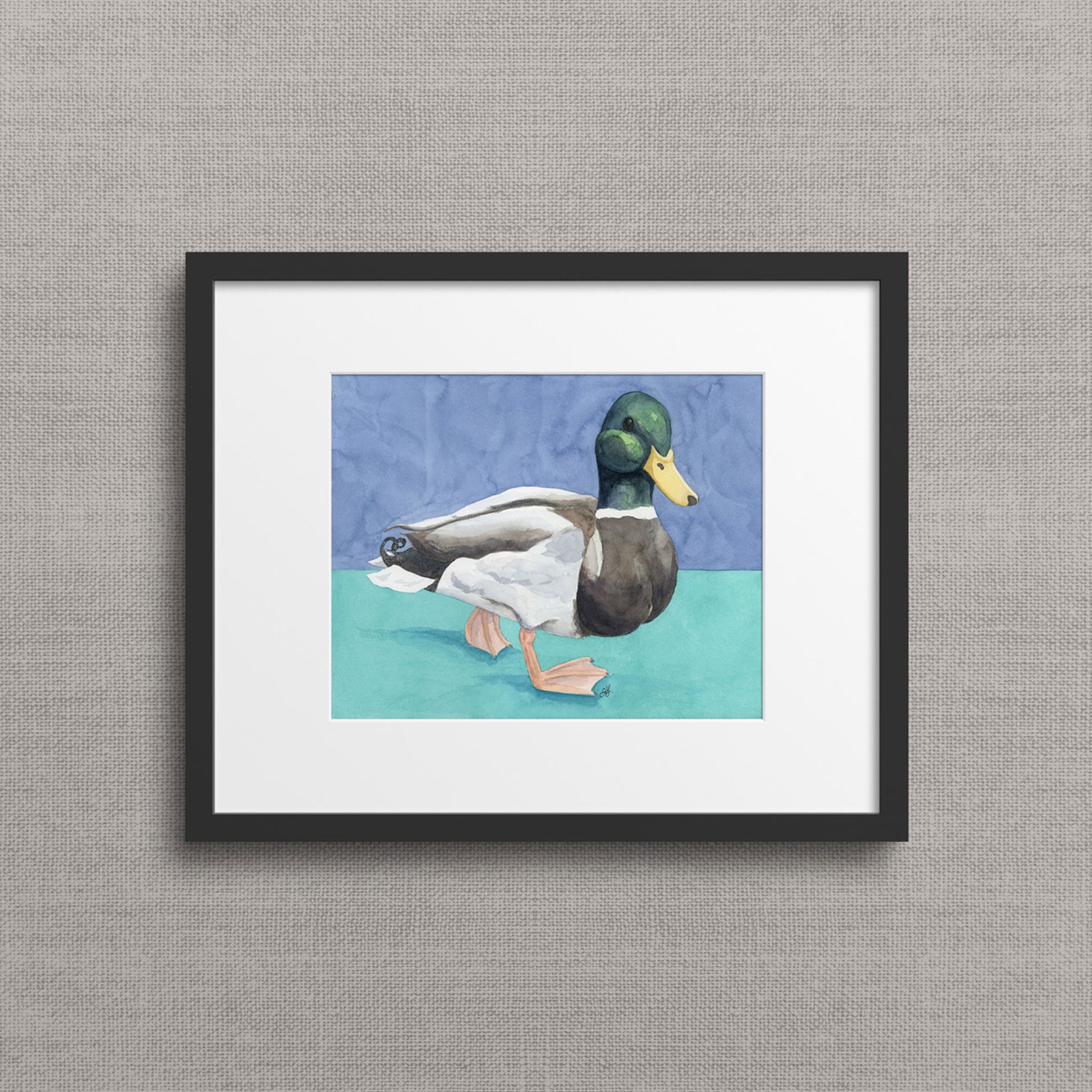 Framed artwork of a modern watercolor mallard duck painting against a split blue and teal background — giclée fine art print. By Heidi Leduc