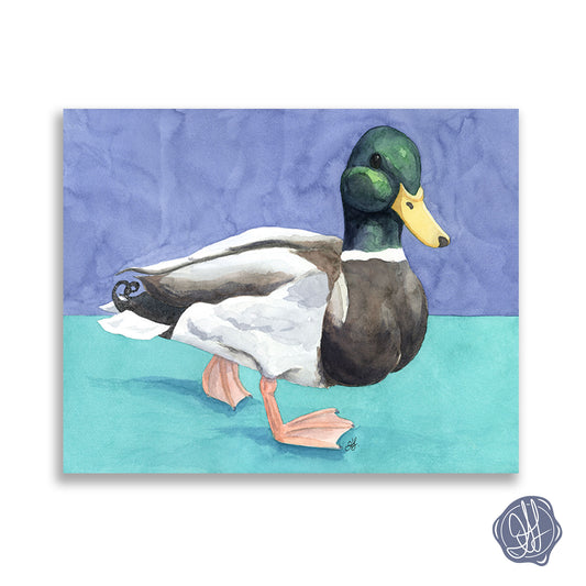 Modern watercolor mallard duck painting against a split blue and teal background — giclée fine art print. By Heidi Leduc