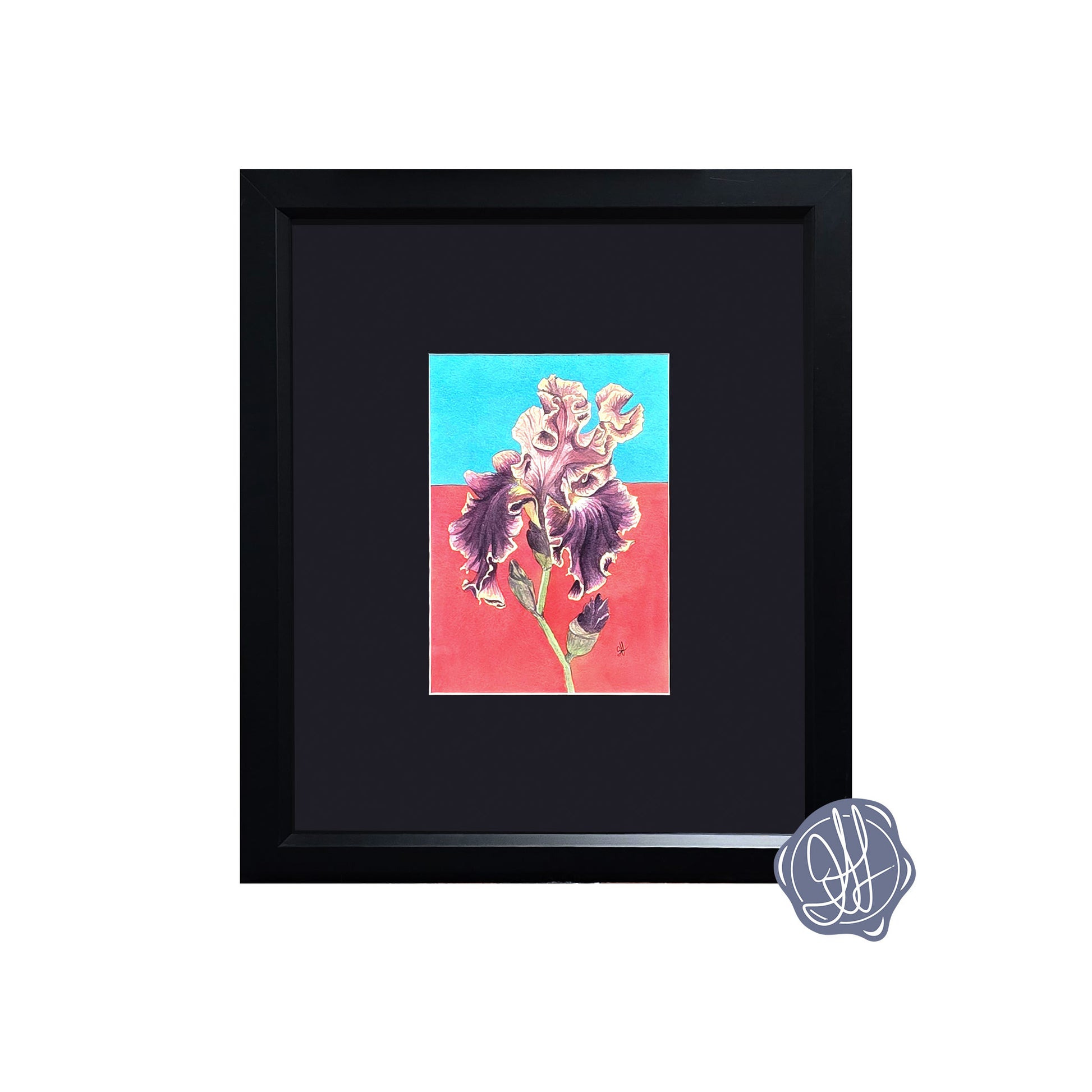 Framed original watercolor painting featuring a Montmartre Bearded Iris with ruffled purple petals and a modern blue and pink-red background.