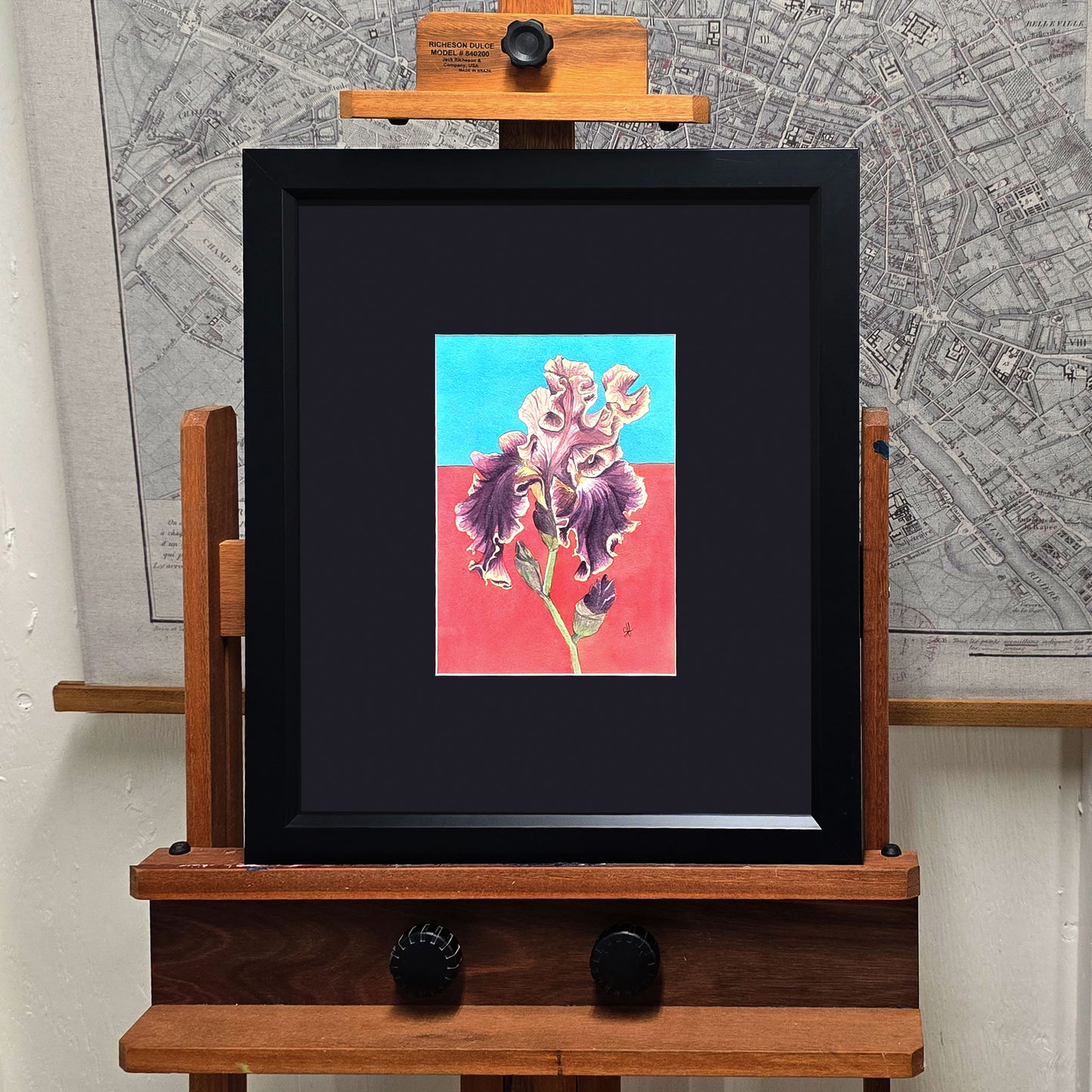 Original framed watercolor painting of a Montmartre Bearded Iris with purple petals against a bright blue and pink-red background.