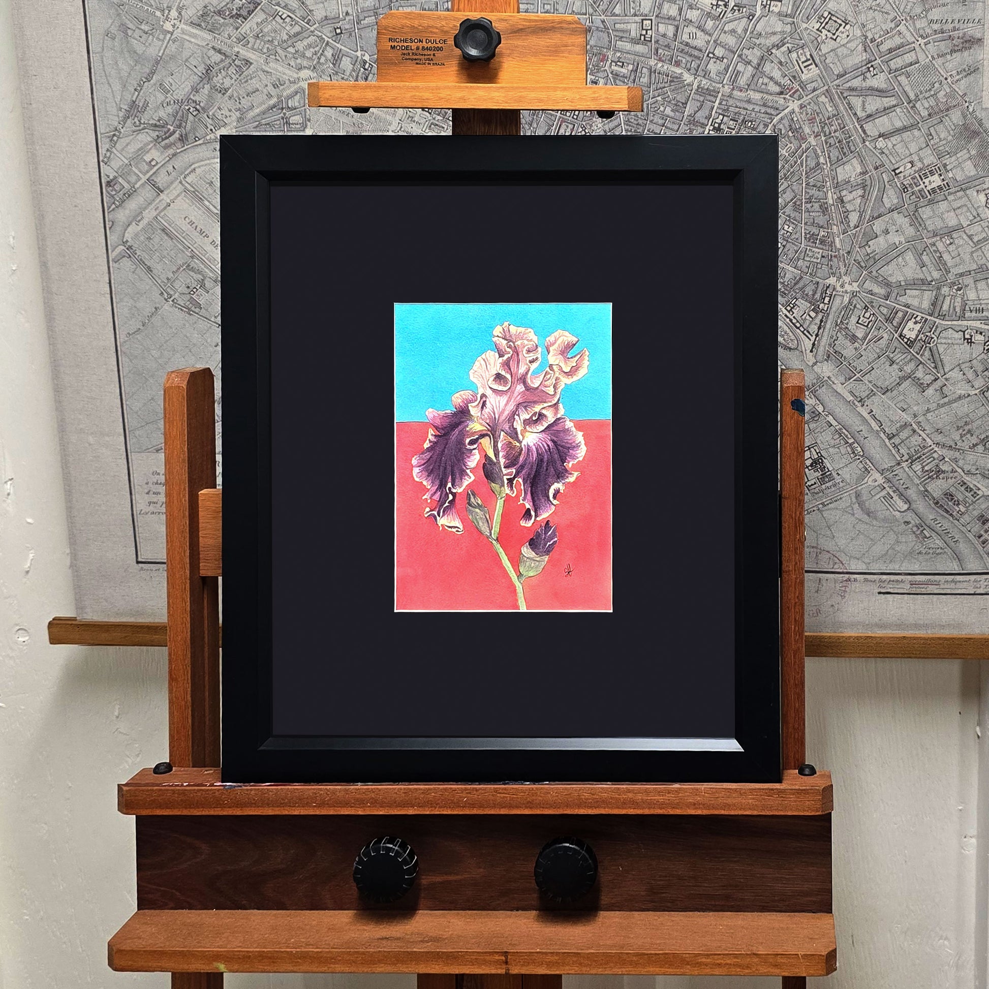 Original framed watercolor painting of a Montmartre Bearded Iris with purple petals against a bright blue and pink-red background.