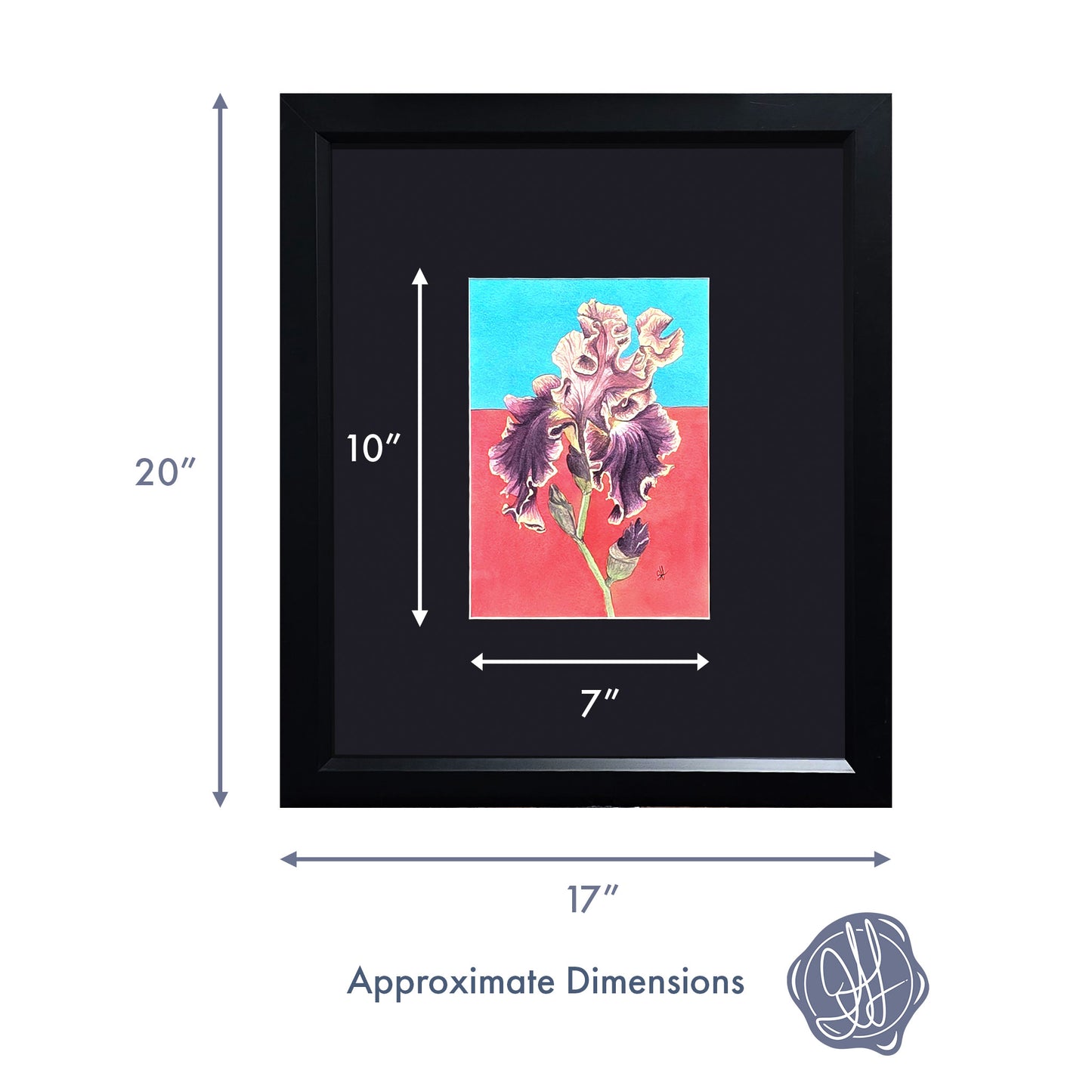 Dimensions of an original framed watercolor painting of a Montmartre Bearded Iris by Heidi Leduc, highlighting the flower's ruffled purple petals and vibrant background.