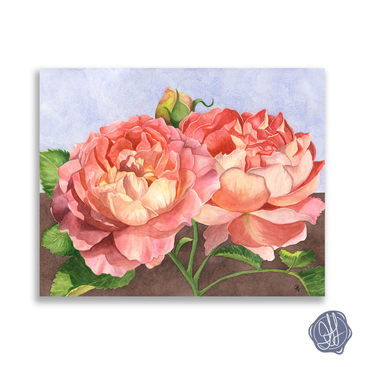 Watercolor rose giclée art print by Heidi Leduc shown framed on a wall — glowing pink roses against a minimalist split blue and brown background. By Heidi Leduc
