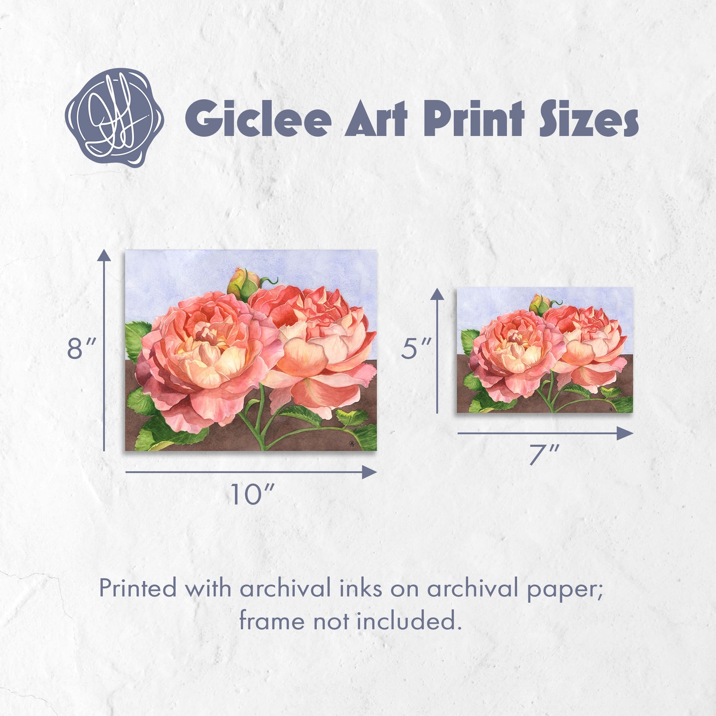 Giclee art print sizes of watercolor rose giclée art print by Heidi Leduc shown framed on a wall — glowing pink roses against a minimalist split blue and brown background. By Heidi Leduc