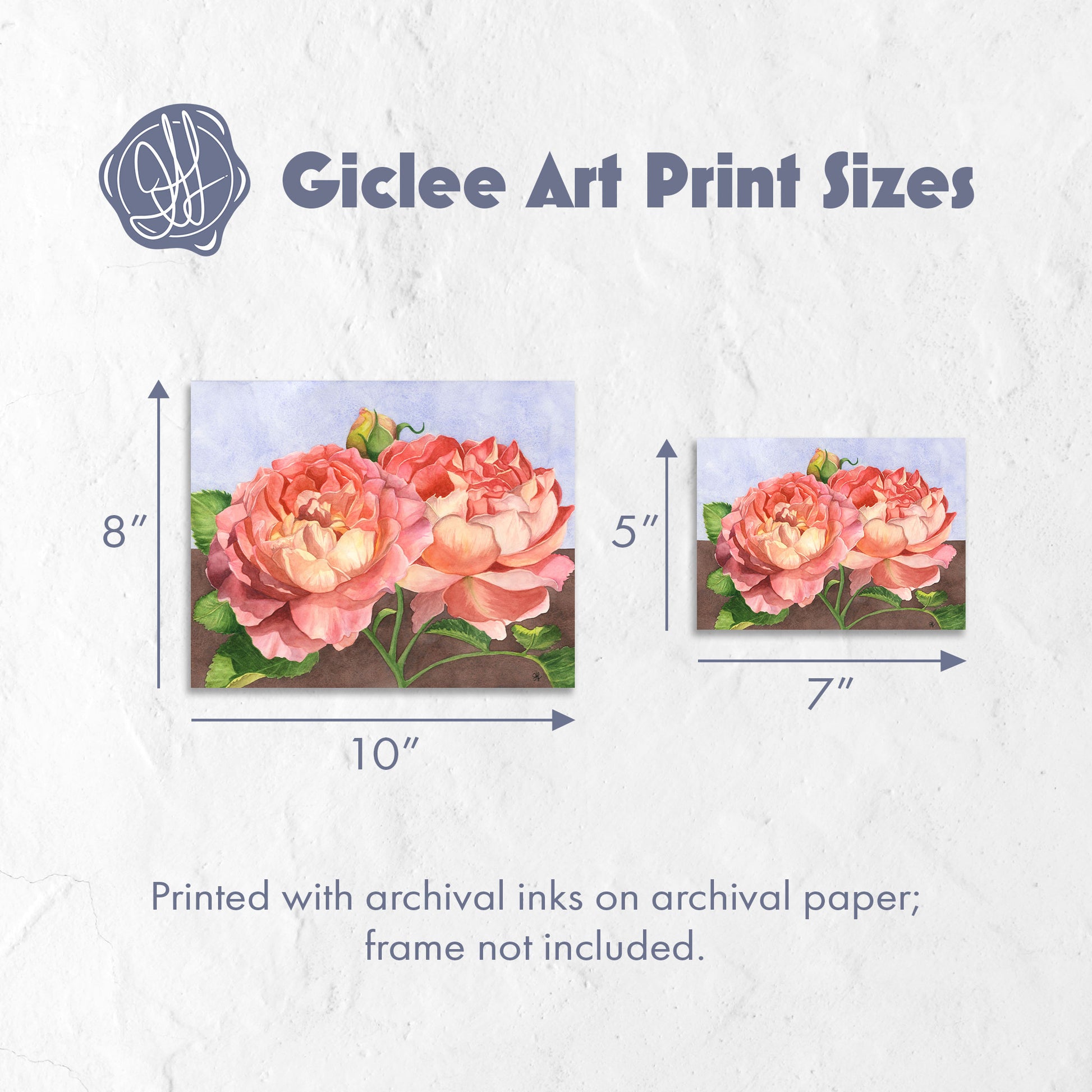 Giclee art print sizes of watercolor rose giclée art print by Heidi Leduc shown framed on a wall — glowing pink roses against a minimalist split blue and brown background. By Heidi Leduc