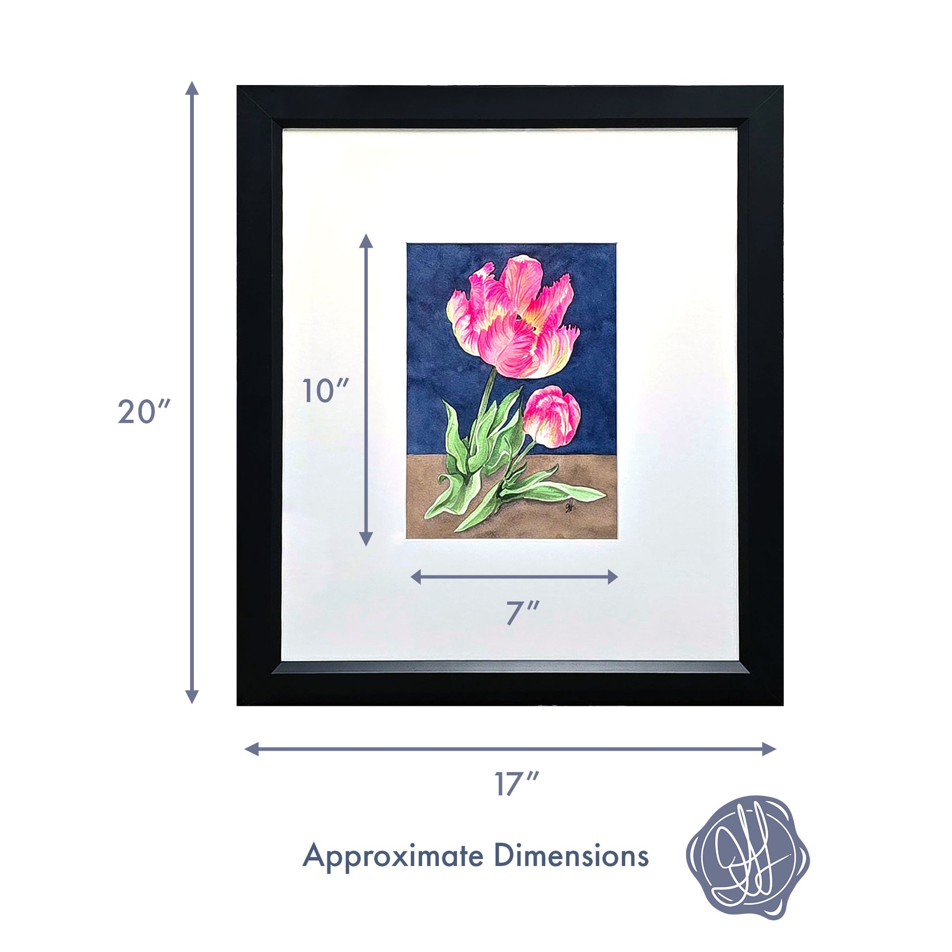 Framed original watercolor painting of an Apricot Parrot Tulip by Heidi Leduc with approximate diemensions