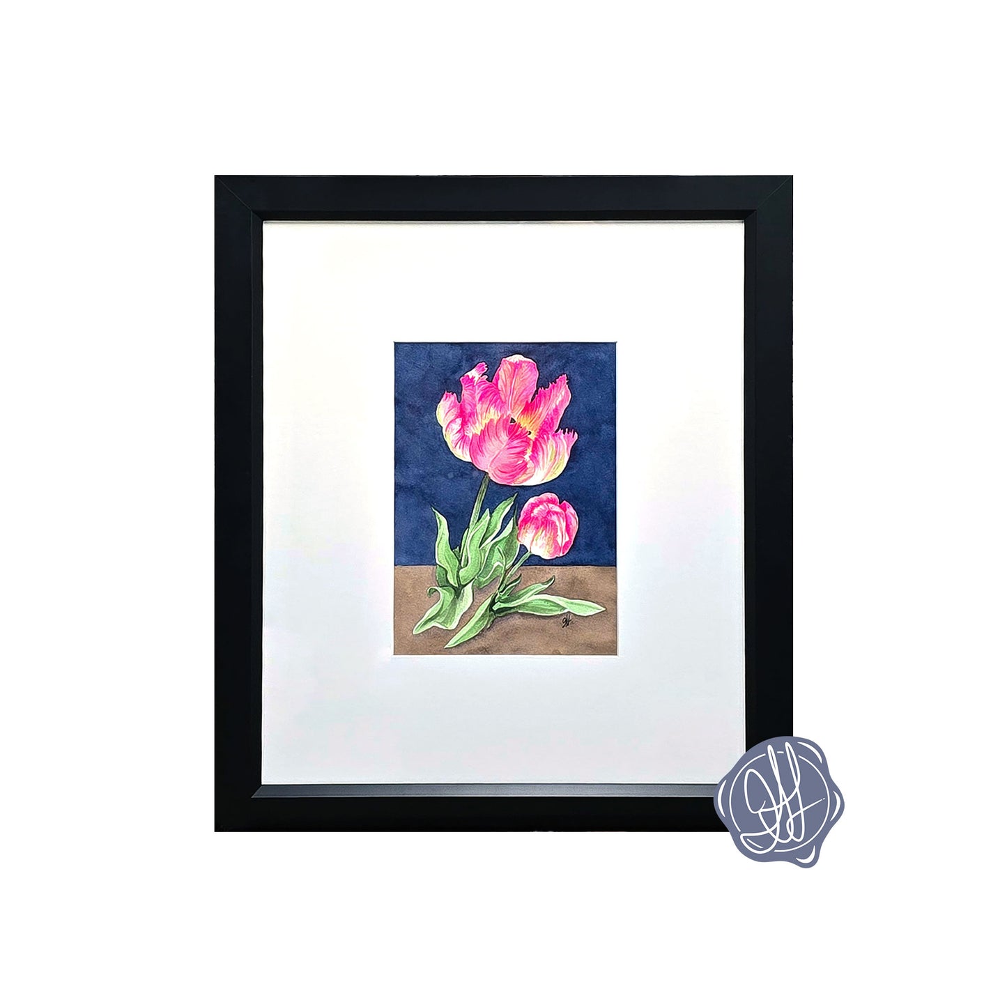 Original watercolor painting of an Apricot Parrot Tulip with ruffled pink and apricot petals against a deep blue background, framed in black with a white mat.