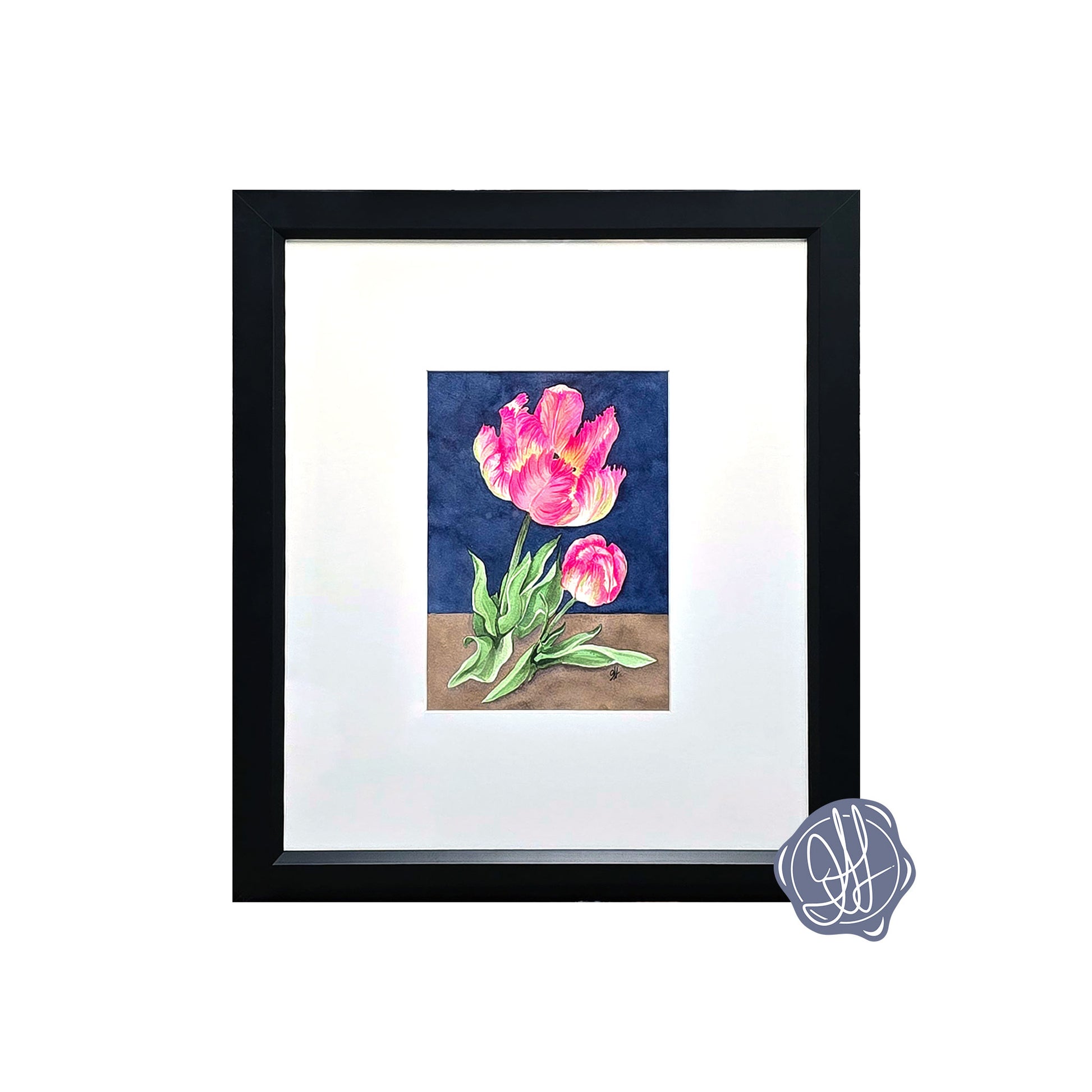 Original watercolor painting of an Apricot Parrot Tulip with ruffled pink and apricot petals against a deep blue background, framed in black with a white mat.